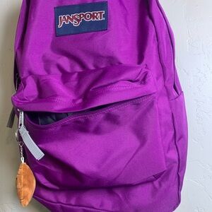JanSport Purple Backpacks